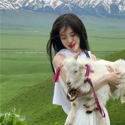 奔腾岁月2019